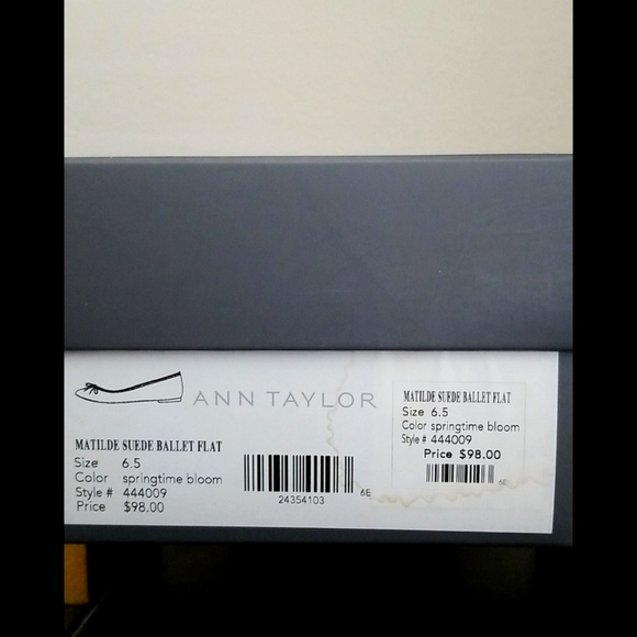 Ann Taylor Matilde Suede Ballet Flats (UPDATED WITH DEFECTS) - Picture 11 of 16
